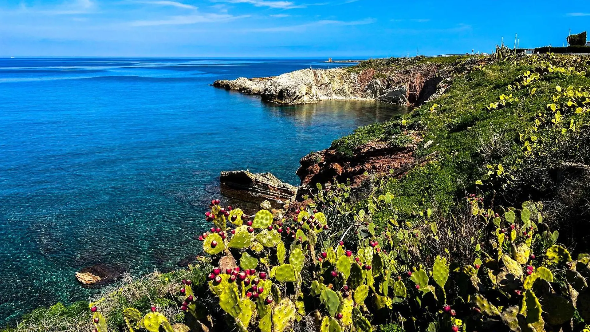 B&B Il Mare Di Terrasini